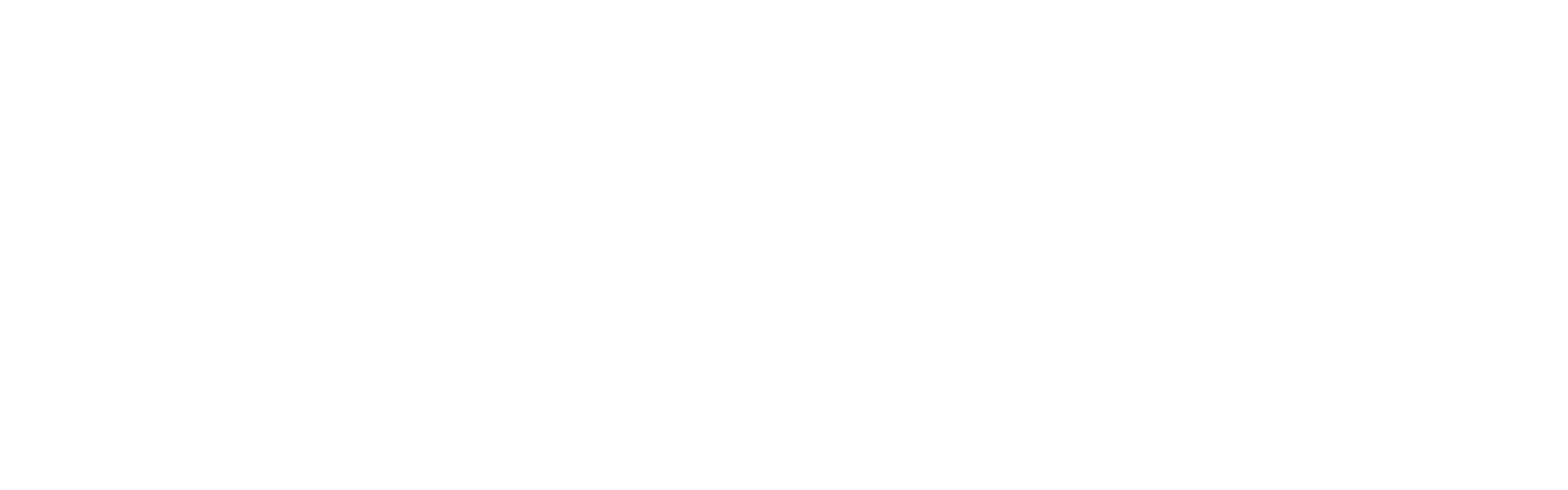 Townsman Software